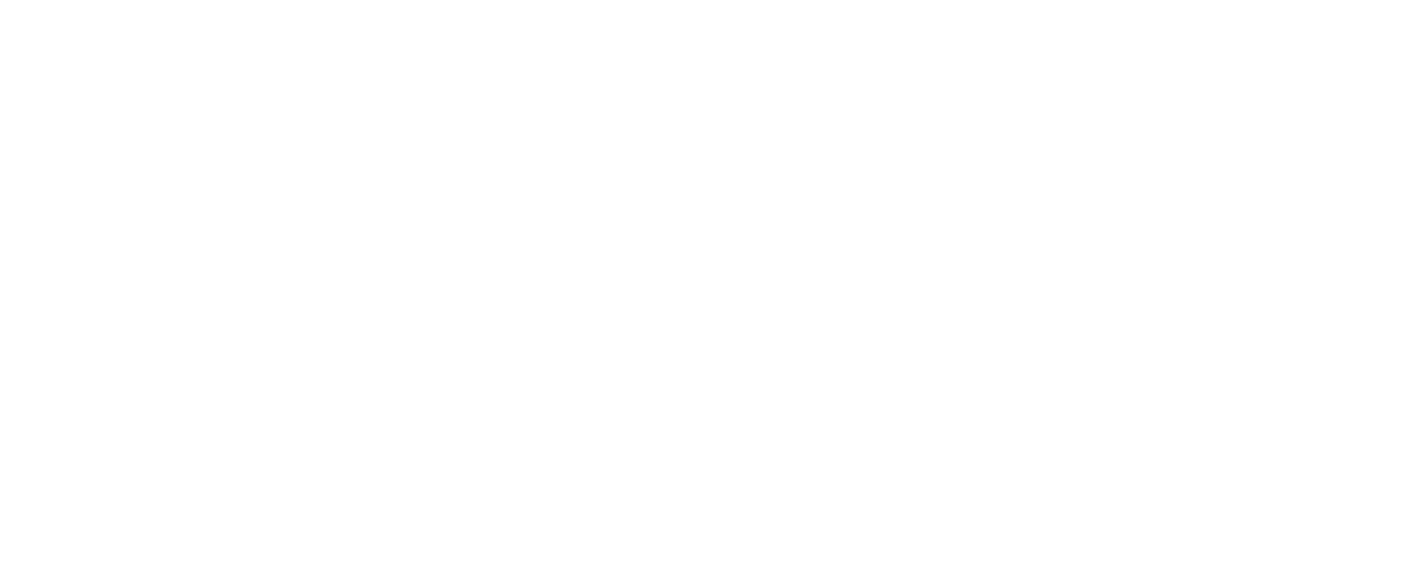 SPC Brasil